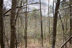 property photo for Hidden Hills Tract 29, 5.27 acres for sale in Sequatchie County, Tennessee