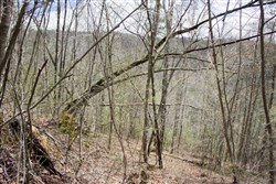 property photo for Hidden Hills Tract 29, 5.27 acres for sale in Sequatchie County, Tennessee