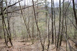 property photo for Hidden Hills Tract 29, 5.27 acres for sale in Sequatchie County, Tennessee