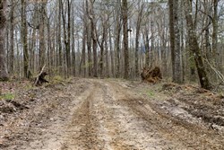 property photo for Hidden Hills Tract 3, 6.93 acres for sale in Sequatchie County, Tennessee