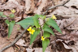 property photo for Hidden Hills Tract 3, 6.93 acres for sale in Sequatchie County, Tennessee