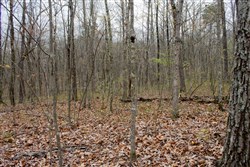 property photo for Hidden Hills Tract 3, 6.93 acres for sale in Sequatchie County, Tennessee