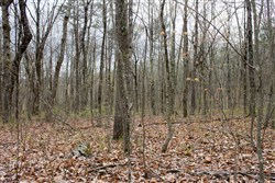 property photo for Hidden Hills Tract 3, 6.93 acres for sale in Sequatchie County, Tennessee