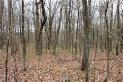 property photo for Hidden Hills Tract 3, 6.93 acres for sale in Sequatchie County, Tennessee