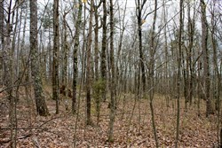 property photo for Hidden Hills Tract 3, 6.93 acres for sale in Sequatchie County, Tennessee