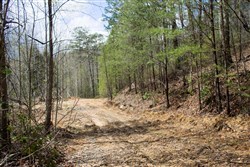 property photo for Hidden Hills Tract 30, 6.07 acres for sale in Sequatchie County, Tennessee