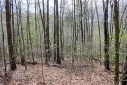property photo for Hidden Hills Tract 30, 6.07 acres for sale in Sequatchie County, Tennessee