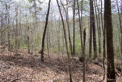 property photo for Hidden Hills Tract 30, 6.07 acres for sale in Sequatchie County, Tennessee