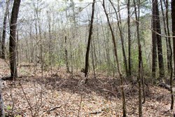 property photo for Hidden Hills Tract 30, 6.07 acres for sale in Sequatchie County, Tennessee