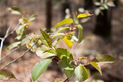 property photo for Hidden Hills Tract 30, 6.07 acres for sale in Sequatchie County, Tennessee