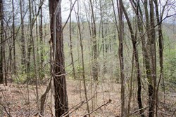 property photo for Hidden Hills Tract 30, 6.07 acres for sale in Sequatchie County, Tennessee