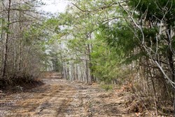 Hidden Hills Tract 31