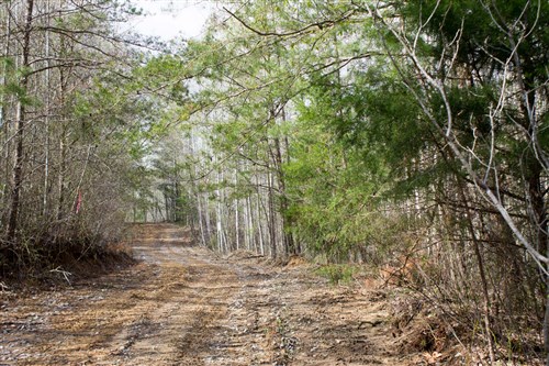 Hidden Hills Tract 31