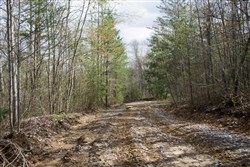 Hidden Hills Tract 31