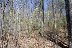 Hidden Hills Tract 31
