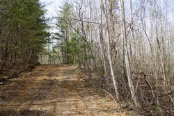 property photo for Hidden Hills Tract 32, 7.55 acres for sale in Sequatchie County, Tennessee
