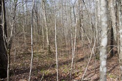 property photo for Hidden Hills Tract 32, 7.55 acres for sale in Sequatchie County, Tennessee