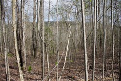 property photo for Hidden Hills Tract 32, 7.55 acres for sale in Sequatchie County, Tennessee