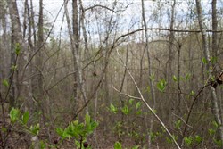 property photo for Hidden Hills Tract 33, 7.7 acres for sale in Sequatchie County, Tennessee