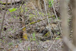 property photo for Hidden Hills Tract 33, 7.7 acres for sale in Sequatchie County, Tennessee