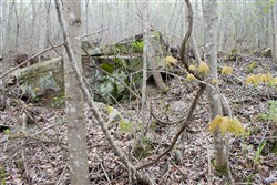 property photo for Hidden Hills Tract 33, 7.7 acres for sale in Sequatchie County, Tennessee