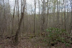 property photo for Hidden Hills Tract 33, 7.7 acres for sale in Sequatchie County, Tennessee