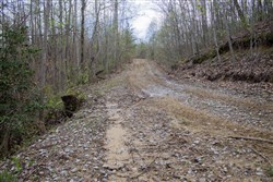 property photo for Hidden Hills Tract 34, 11.35 acres for sale in Sequatchie County, Tennessee