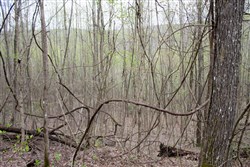 property photo for Hidden Hills Tract 34, 11.35 acres for sale in Sequatchie County, Tennessee