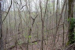 property photo for Hidden Hills Tract 34, 11.35 acres for sale in Sequatchie County, Tennessee