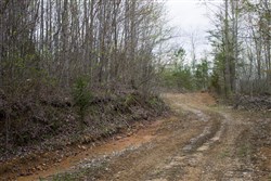 property photo for Hidden Hills Tract 34, 11.35 acres for sale in Sequatchie County, Tennessee