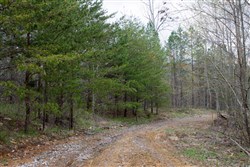 property photo for Hidden Hills Tract 35, 10.91 acres for sale in Sequatchie County, Tennessee
