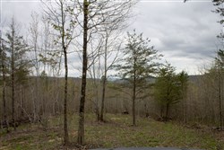 property photo for Hidden Hills Tract 35, 10.91 acres for sale in Sequatchie County, Tennessee