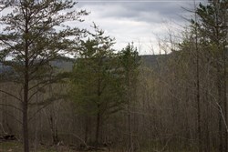 property photo for Hidden Hills Tract 35, 10.91 acres for sale in Sequatchie County, Tennessee