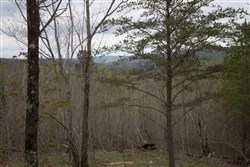 property photo for Hidden Hills Tract 35, 10.91 acres for sale in Sequatchie County, Tennessee