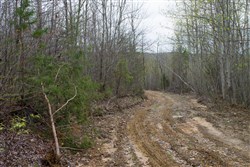 property photo for Hidden Hills Tract 36, 11.54 acres for sale in Sequatchie County, Tennessee