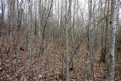 property photo for Hidden Hills Tract 36, 11.54 acres for sale in Sequatchie County, Tennessee