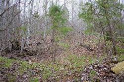 property photo for Hidden Hills Tract 36, 11.54 acres for sale in Sequatchie County, Tennessee