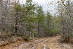 property photo for Hidden Hills Tract 37, 8.29 acres for sale in Sequatchie County, Tennessee