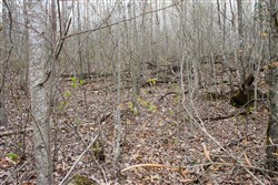 property photo for Hidden Hills Tract 37, 8.29 acres for sale in Sequatchie County, Tennessee