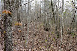 property photo for Hidden Hills Tract 37, 8.29 acres for sale in Sequatchie County, Tennessee