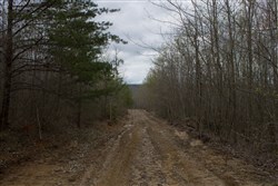 property photo for Hidden Hills Tract 38, 13.29 acres for sale in Sequatchie County, Tennessee