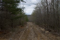 property photo for Hidden Hills Tract 38, 13.29 acres for sale in Sequatchie County, Tennessee