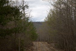 property photo for Hidden Hills Tract 38, 13.29 acres for sale in Sequatchie County, Tennessee