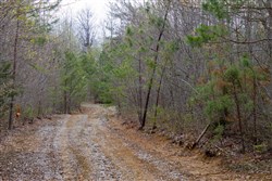 property photo for Hidden Hills Tract 38, 13.29 acres for sale in Sequatchie County, Tennessee