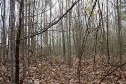 property photo for Hidden Hills Tract 38, 13.29 acres for sale in Sequatchie County, Tennessee