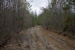 property photo for Hidden Hills Tract 39, 5.04 acres for sale in Sequatchie County, Tennessee