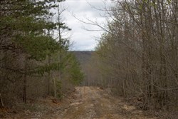 property photo for Hidden Hills Tract 39, 5.04 acres for sale in Sequatchie County, Tennessee