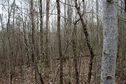 property photo for Hidden Hills Tract 39, 5.04 acres for sale in Sequatchie County, Tennessee