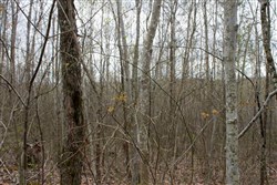 property photo for Hidden Hills Tract 39, 5.04 acres for sale in Sequatchie County, Tennessee