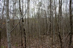 property photo for Hidden Hills Tract 39, 5.04 acres for sale in Sequatchie County, Tennessee